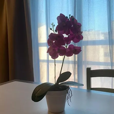 Monte-carlo House Appartamento *